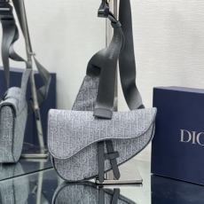 Christian Dior Saddle Bags